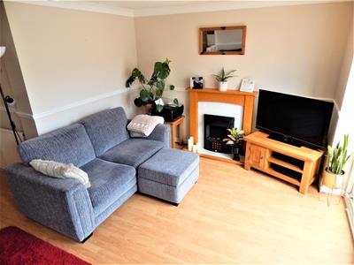 Picture 15
